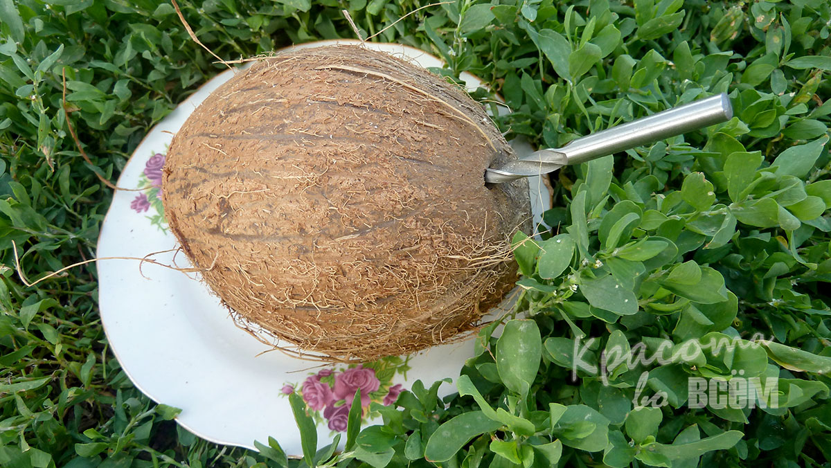 kokosovaya-krasota-za-kopeyki-2